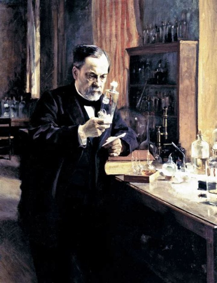 What is Louis Pasteur's germ theory?