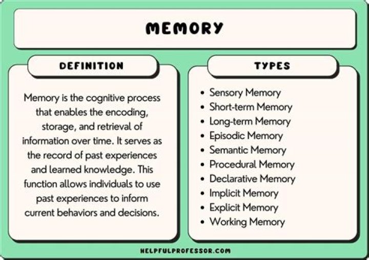 What is memory storage in psychology?
