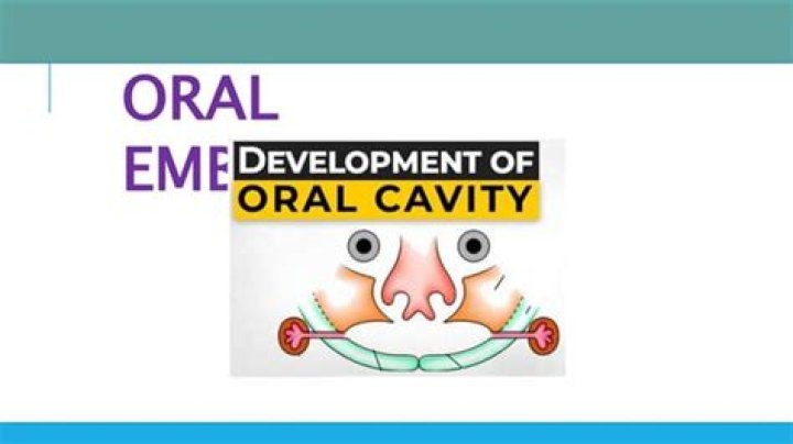 What is oral embryology? | ContextResponse.com