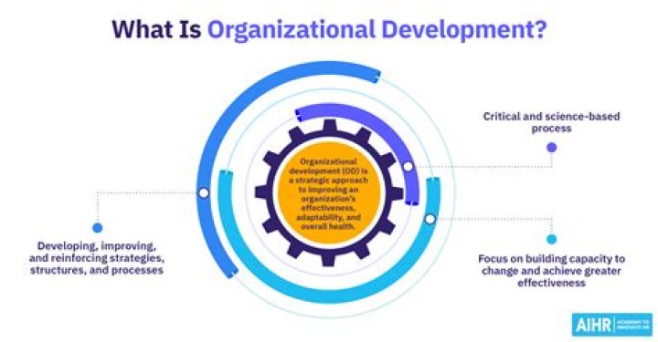 What is Organisational development and change?
