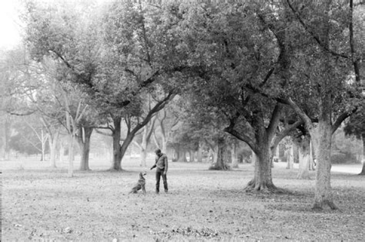 What is panchromatic film in photography?