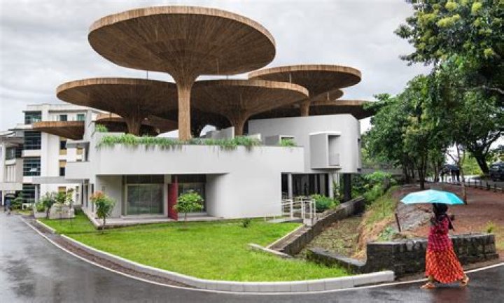 What is professional qualification in Tapmi form?