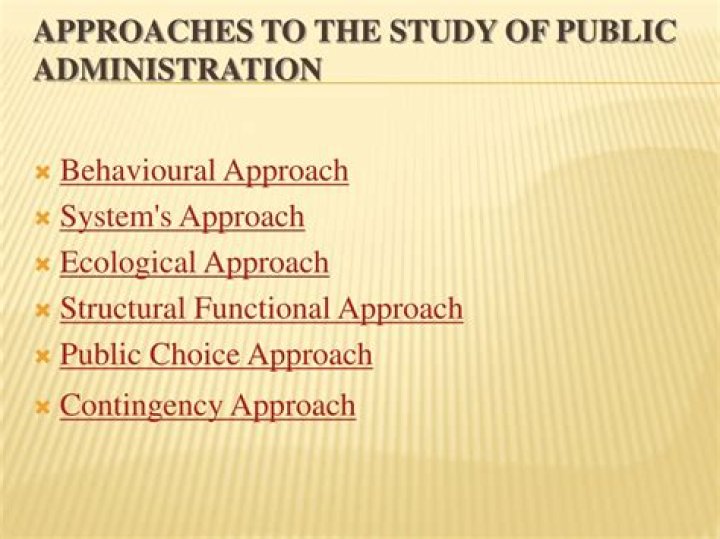 What is public choice approach in public administration?