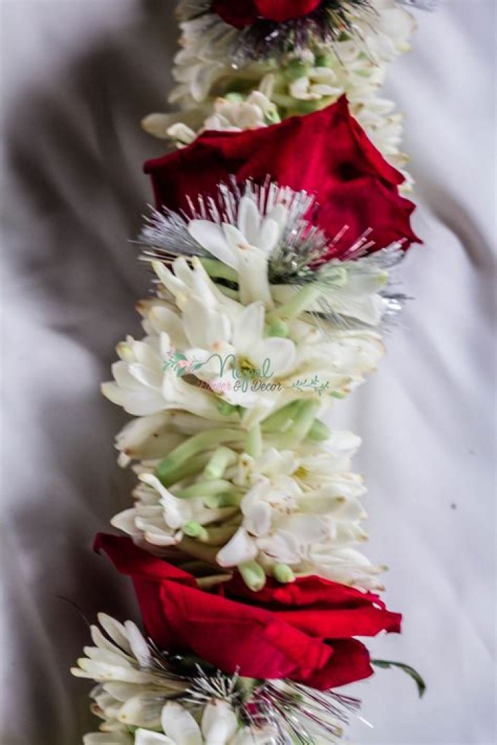What is rajnigandha flower called in English?