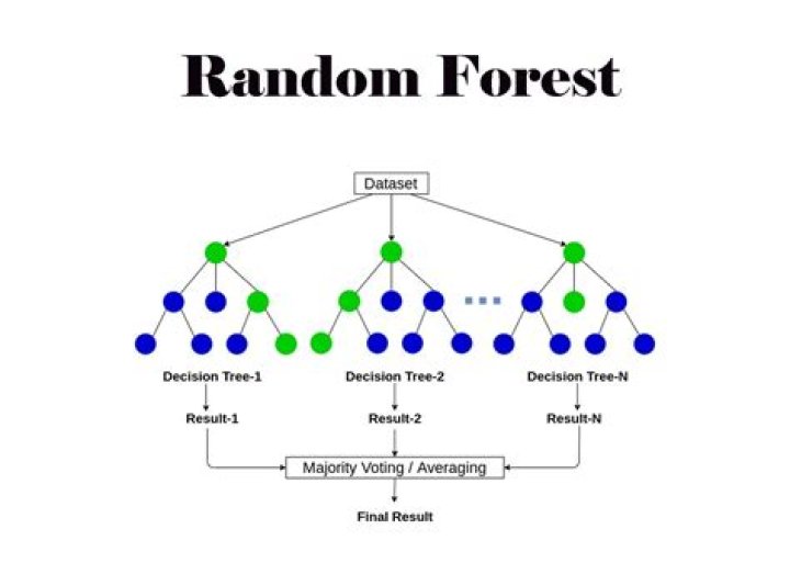 What is random forest in Python?