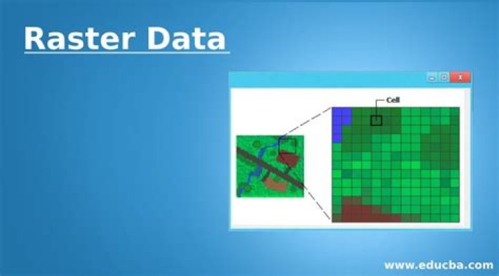 What is raster data format?