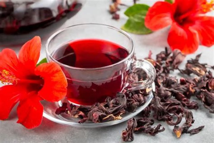 What is red bush tea good for?