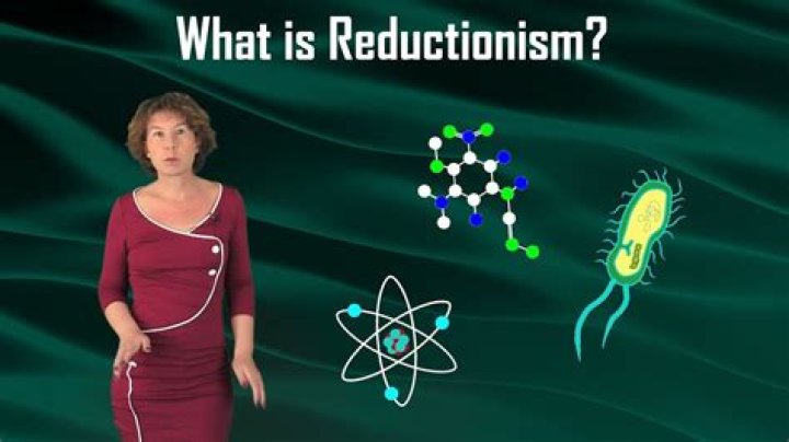 What is reductionism in research?