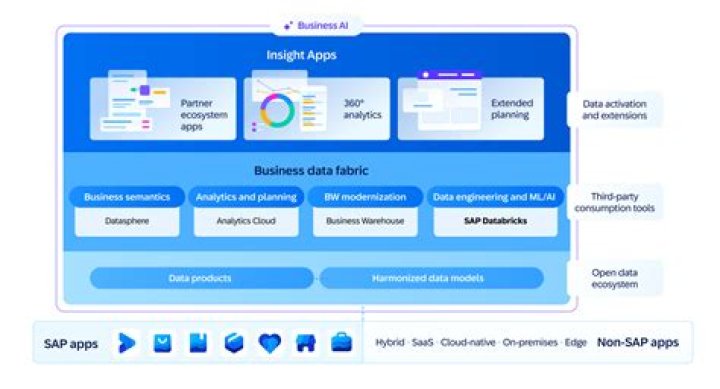 What is SAP Data Services Designer?