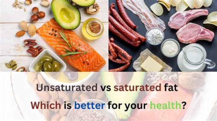 What is saturated fat used for in the body?