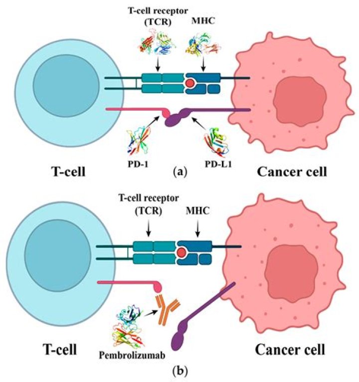 What is Seroquel mechanism of action?
