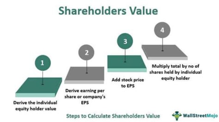 What is share value maximization?
