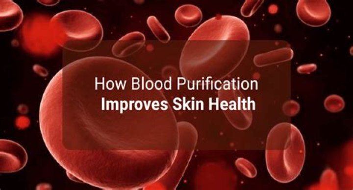 What is skin blood flow?