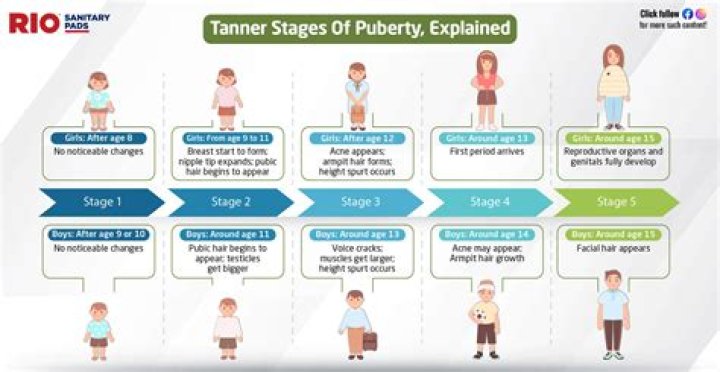What is Tanner stage puberty?