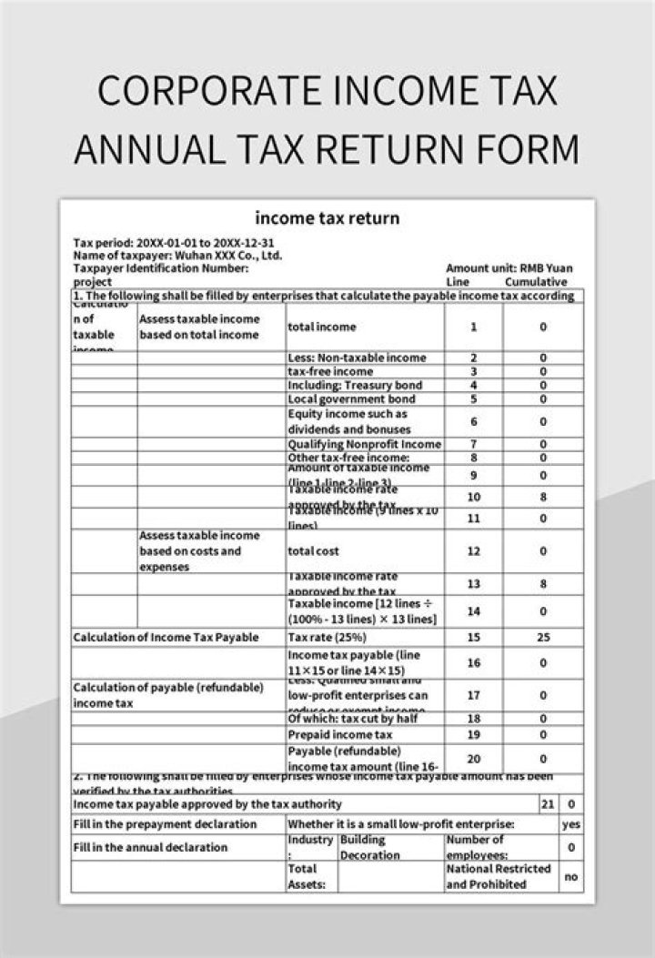 What is taxable profit limited company?