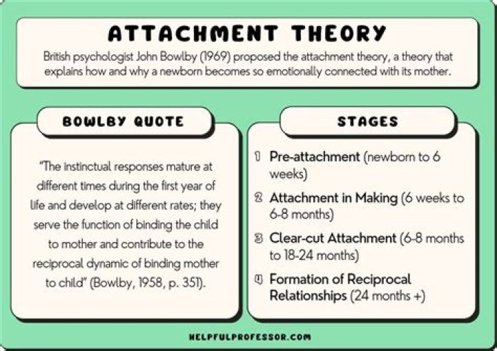 What is the attachment theory by Mary Ainsworth?
