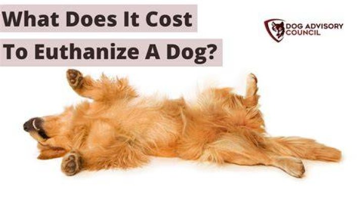 What is the average cost of euthanizing a dog?