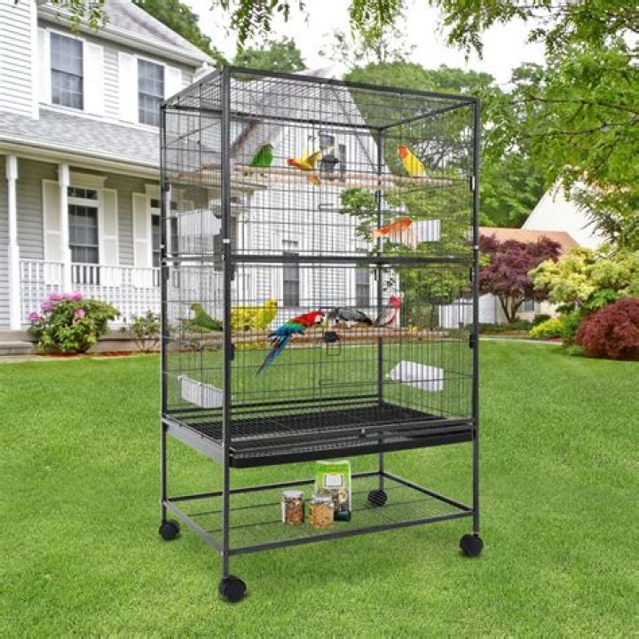 What is the best bird cage for a parakeet?