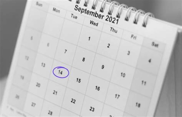 What is the best day to launch a website?