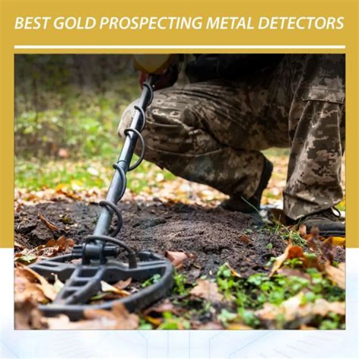What is the best gold detector?
