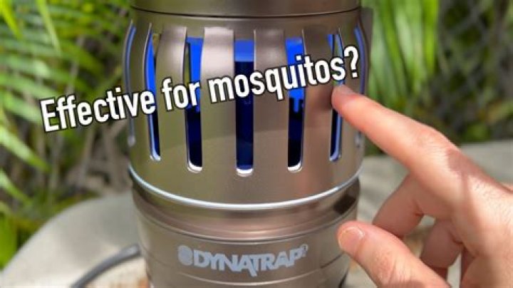 What is the best outdoor mosquito trap?