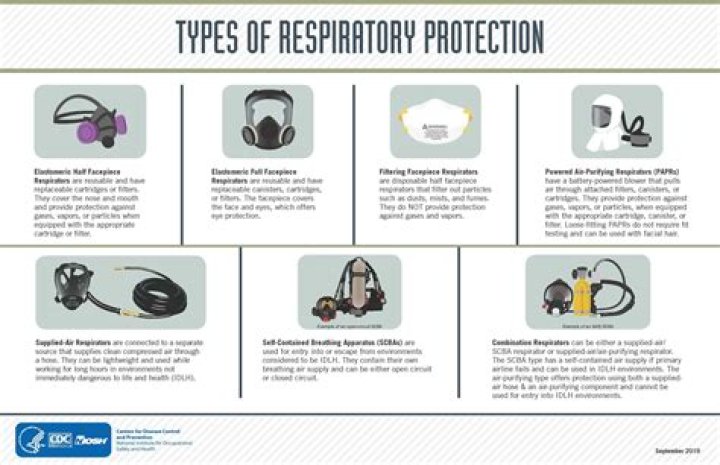What is the best respirator for mold?