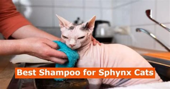 What is the best shampoo for Sphynx cats?