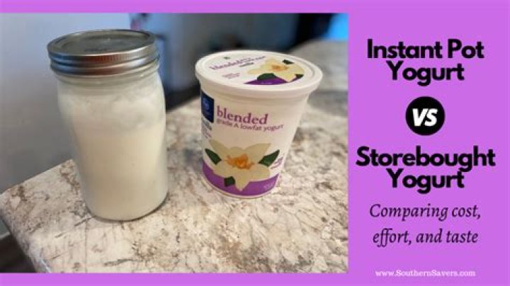 What is the best store bought yogurt?