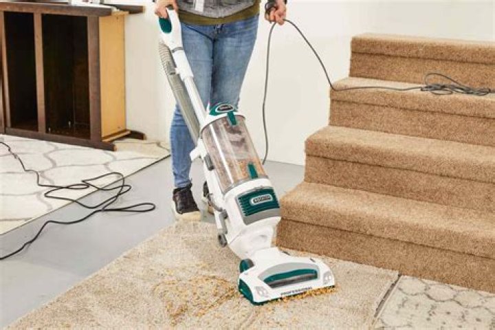 What is the best vacuum for dog hair in carpet?