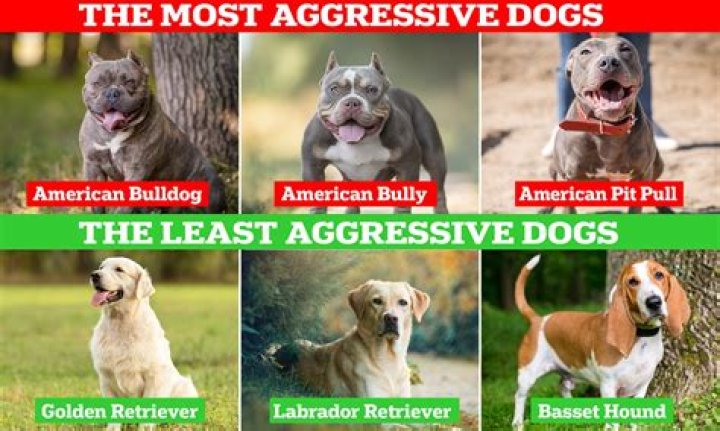 What is the best way to be aggressive?