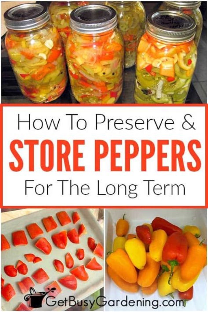 What is the best way to store peppers?