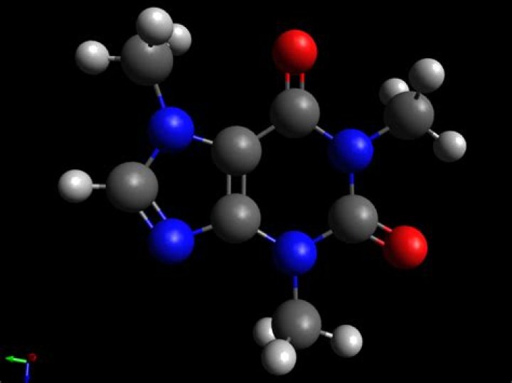 What is the biggest molecule in the world?