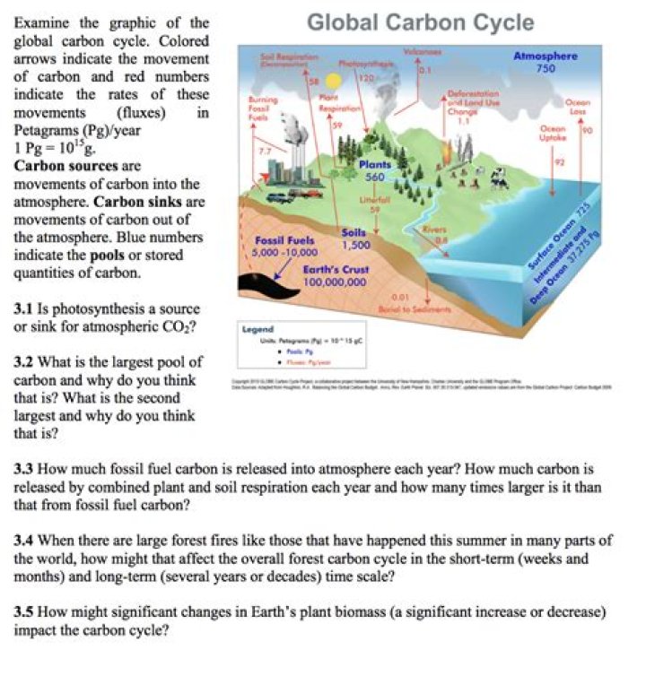 What is the carbon cycle short answer?
