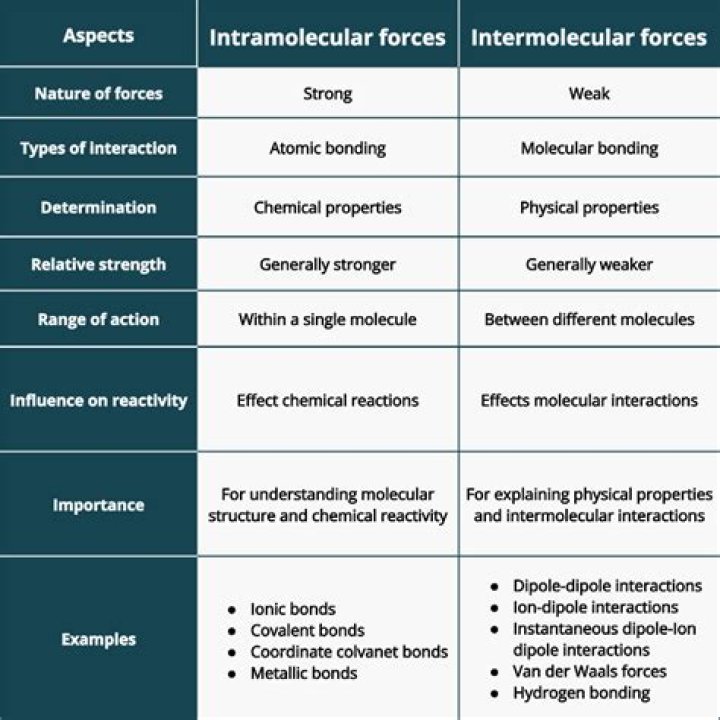 What is the difference between action reaction forces and balanced forces?