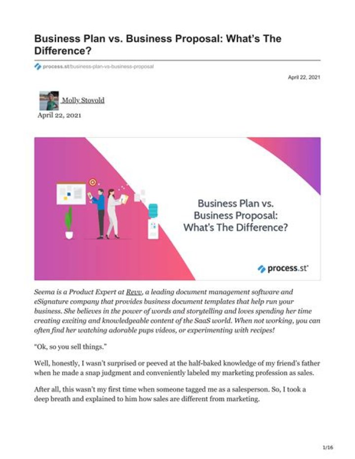 What is the difference between business plan and business profile?