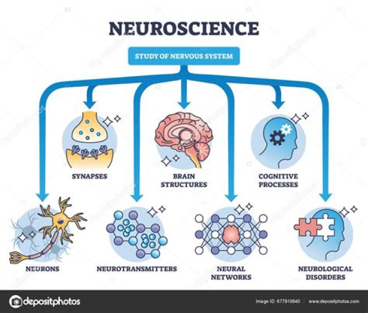 What is the difference between cognitive neuroscience and cognitive psychology?