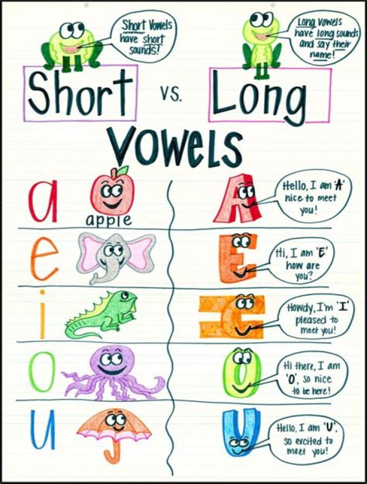 What is the difference between long vowel and short vowel?