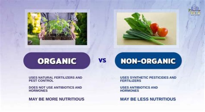 What is the difference between organic and non organic eggs?