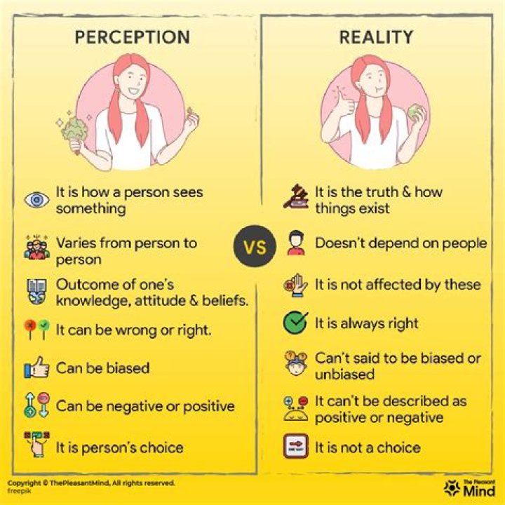 What is the difference between perception and perception?