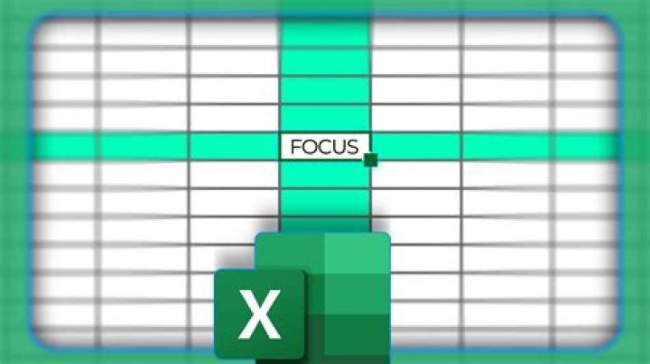 What is the focus during Trophy stage?