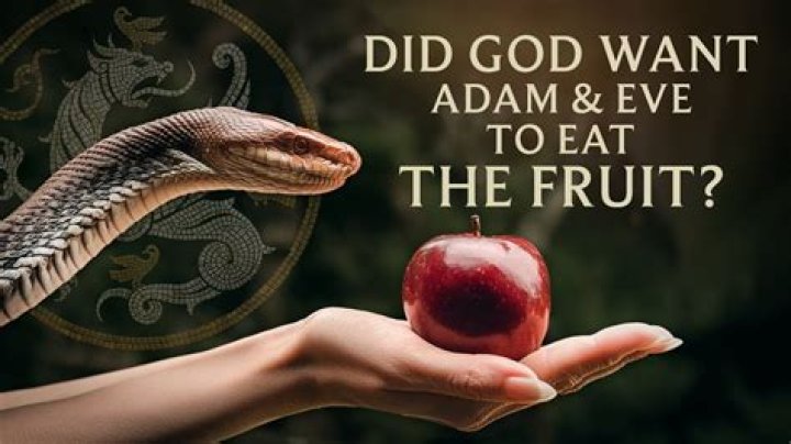 What is the forbidden fruit that Adam and Eve ate?