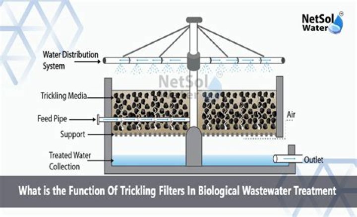 What is the function of trickling filter?