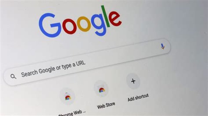 What is the Google search bar called?