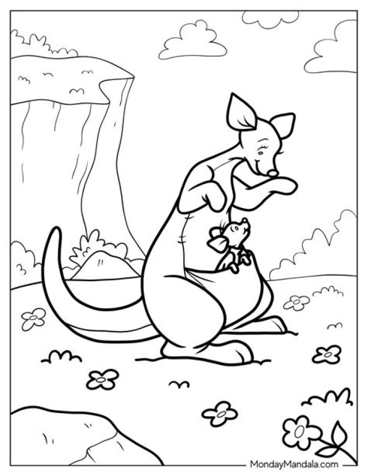 What is the kanga and why is it important?