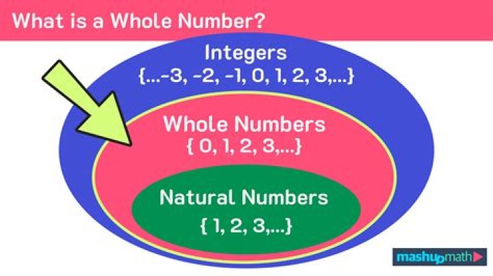 What is the largest whole number?