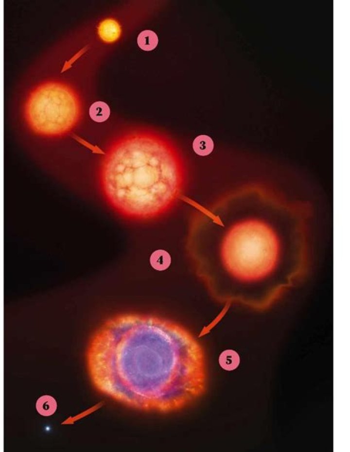 What is the life cycle of our sun?