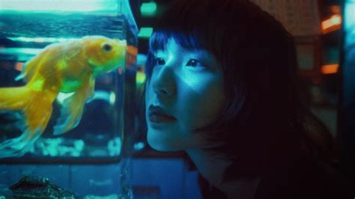 What is the main idea of what of this goldfish would you wish?