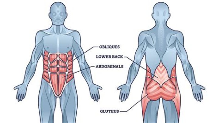 What is the meaning of ABS body?