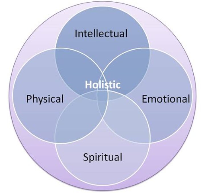 What is the meaning of holistic approach?