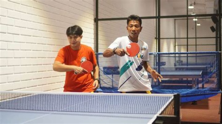 What is the meaning of ping pong ball?